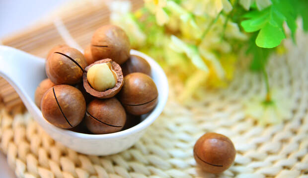 Die Macadamia schmeckt buttrig zart