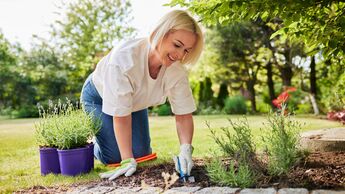 Gartenarbeit