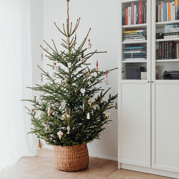 Nachhaltiger Weihnachtsbaum