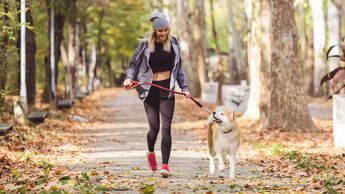 Sport tut Ihnen und Ihrem Hund gut