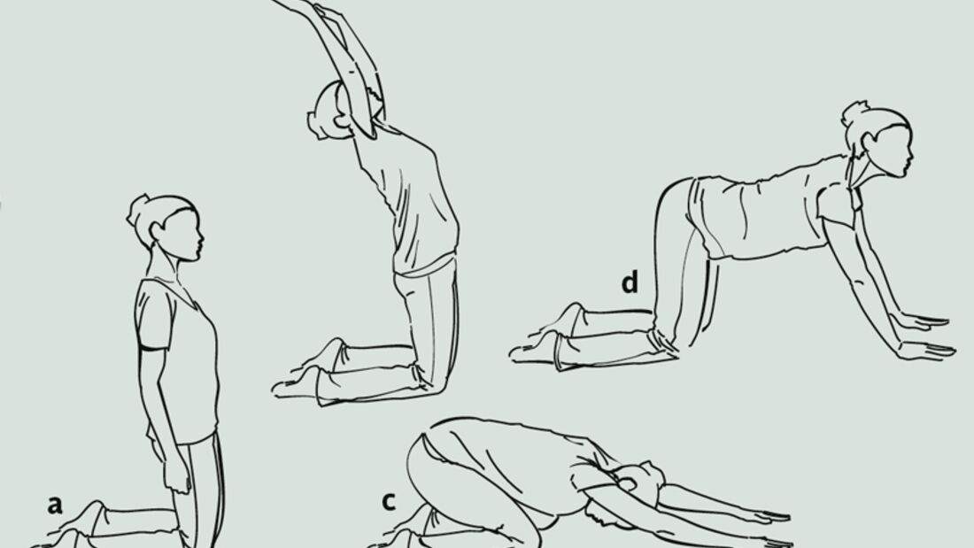 Yoga-Übungsreihe gegen Rückenschmerzen